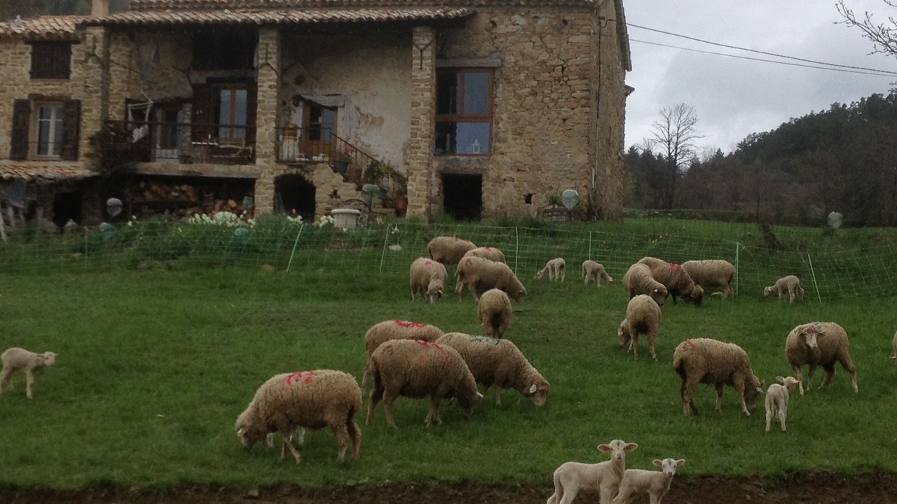Photo of Outdoor in Castellet-les-Sausses
