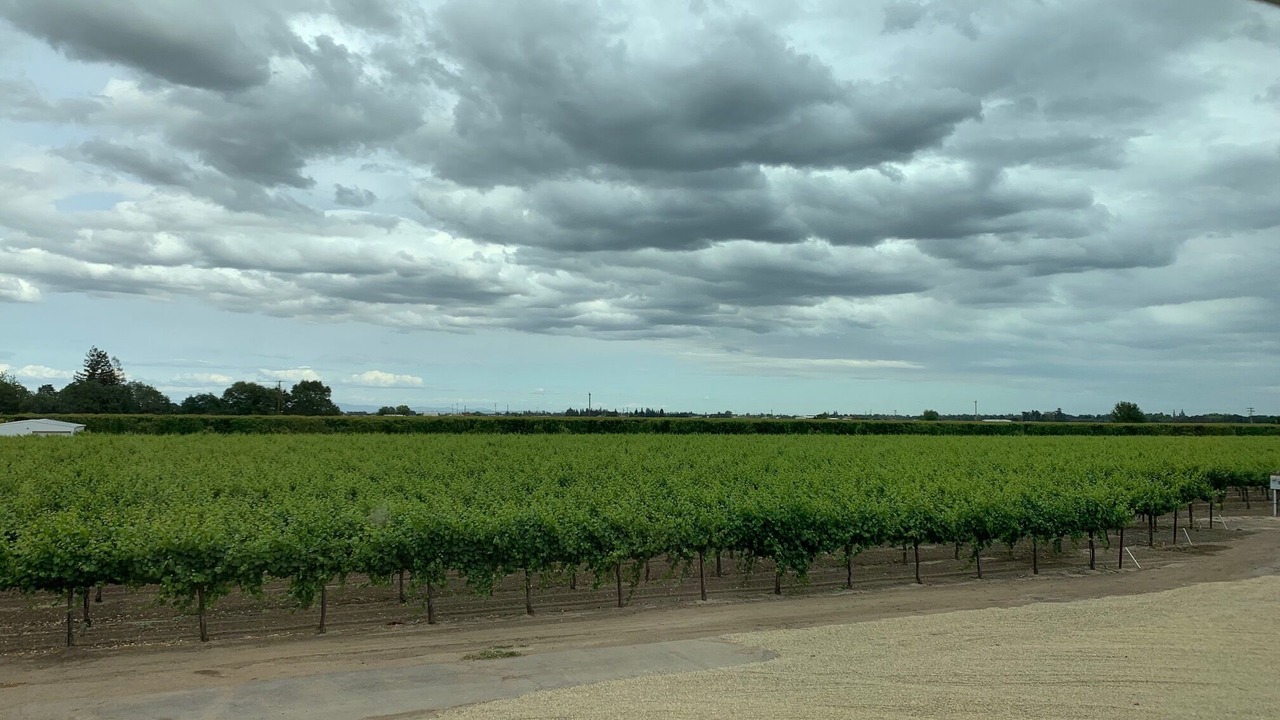 Photo of Others in North Woodbridge