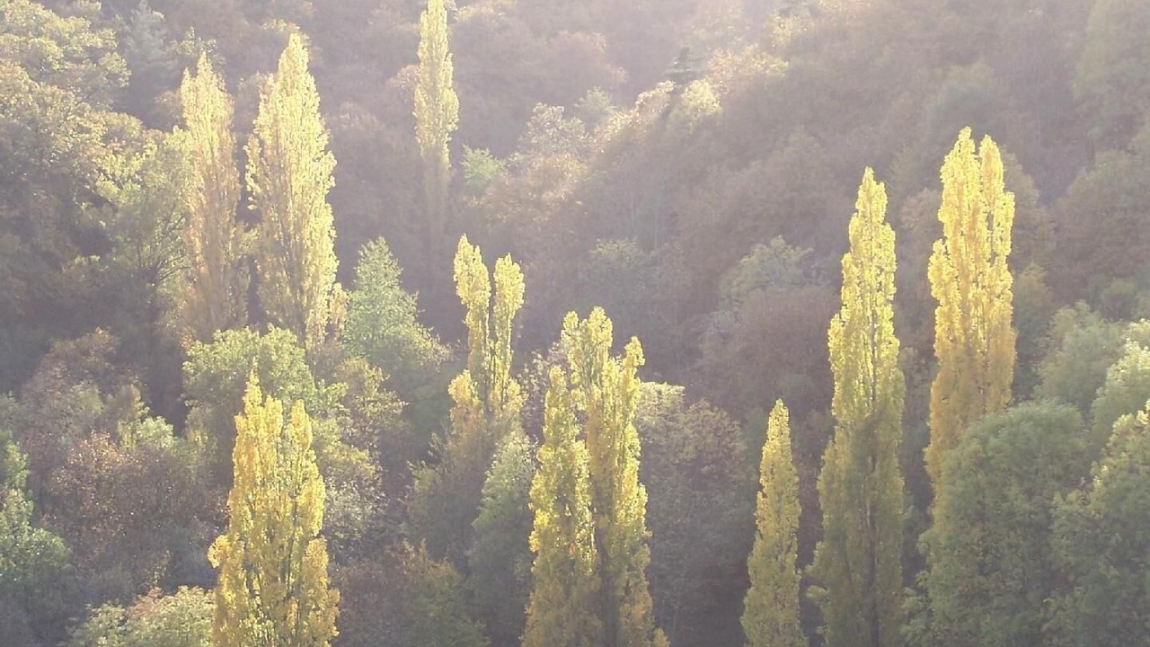 Photo of Others in Gluiras