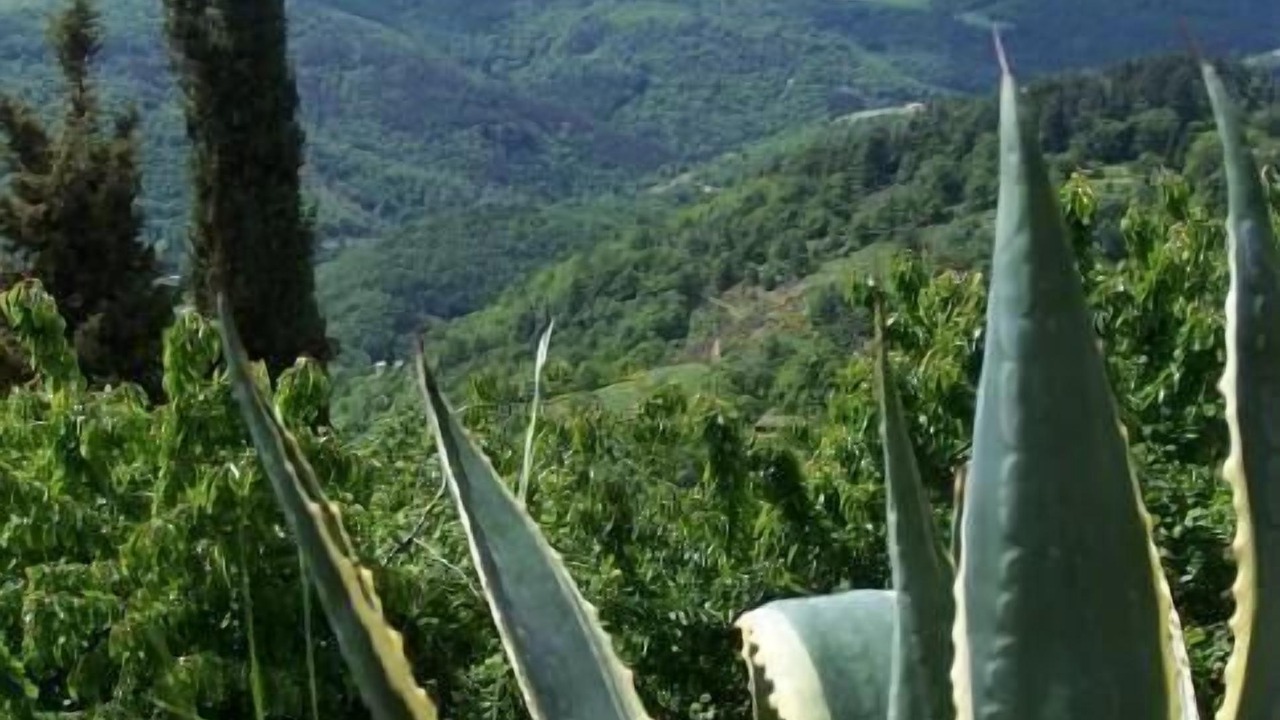 Photo of Others in Gluiras