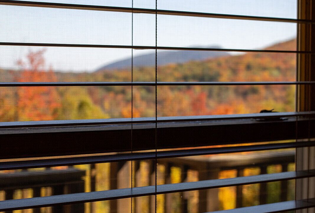 Photo of Others in Johnsburg