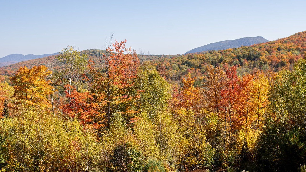 Photo of Outdoor in Johnsburg