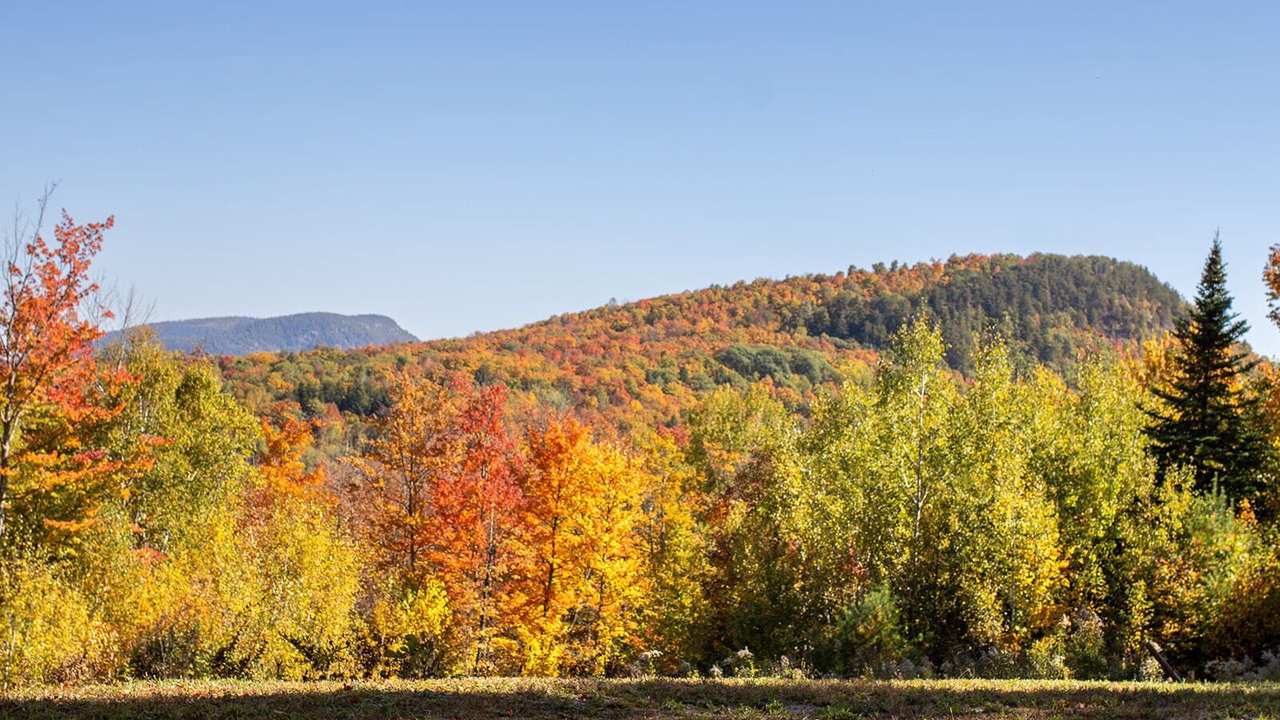 Photo of Others in Johnsburg