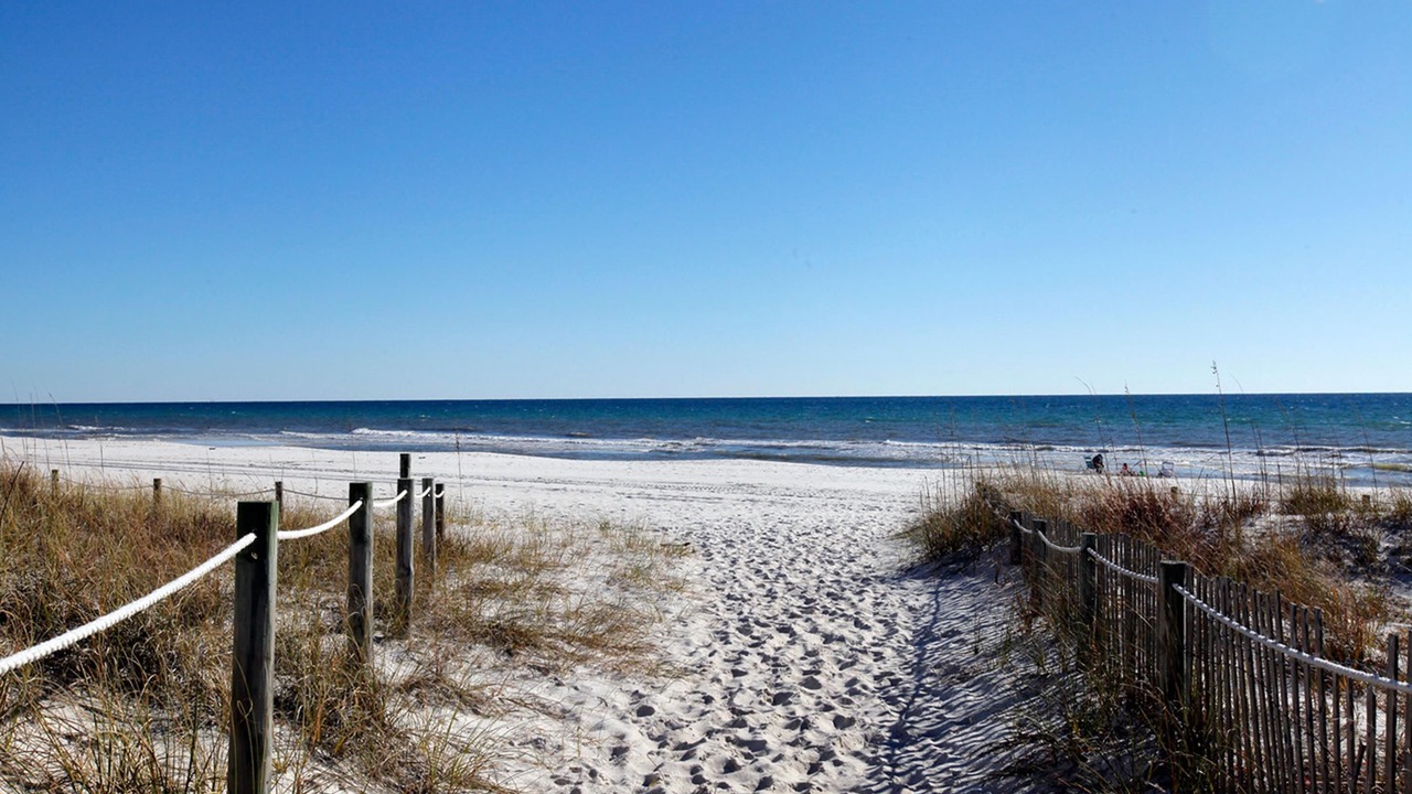 Photo of Others in West Panama City Beach