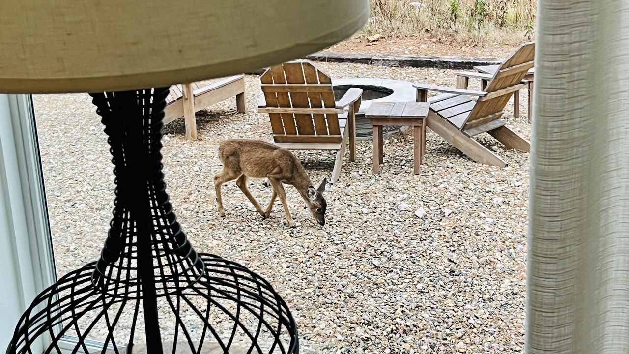 Photo of Others in Broken Bow