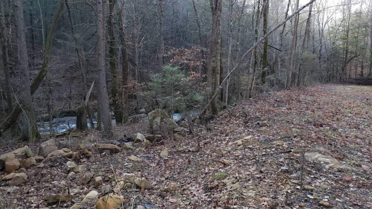 Photo of Others in Elgin