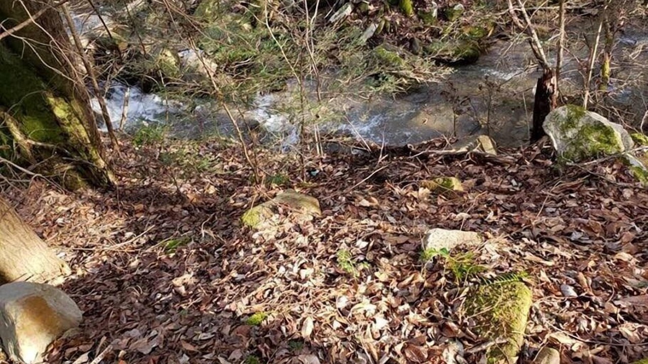 Photo of Others in Elgin