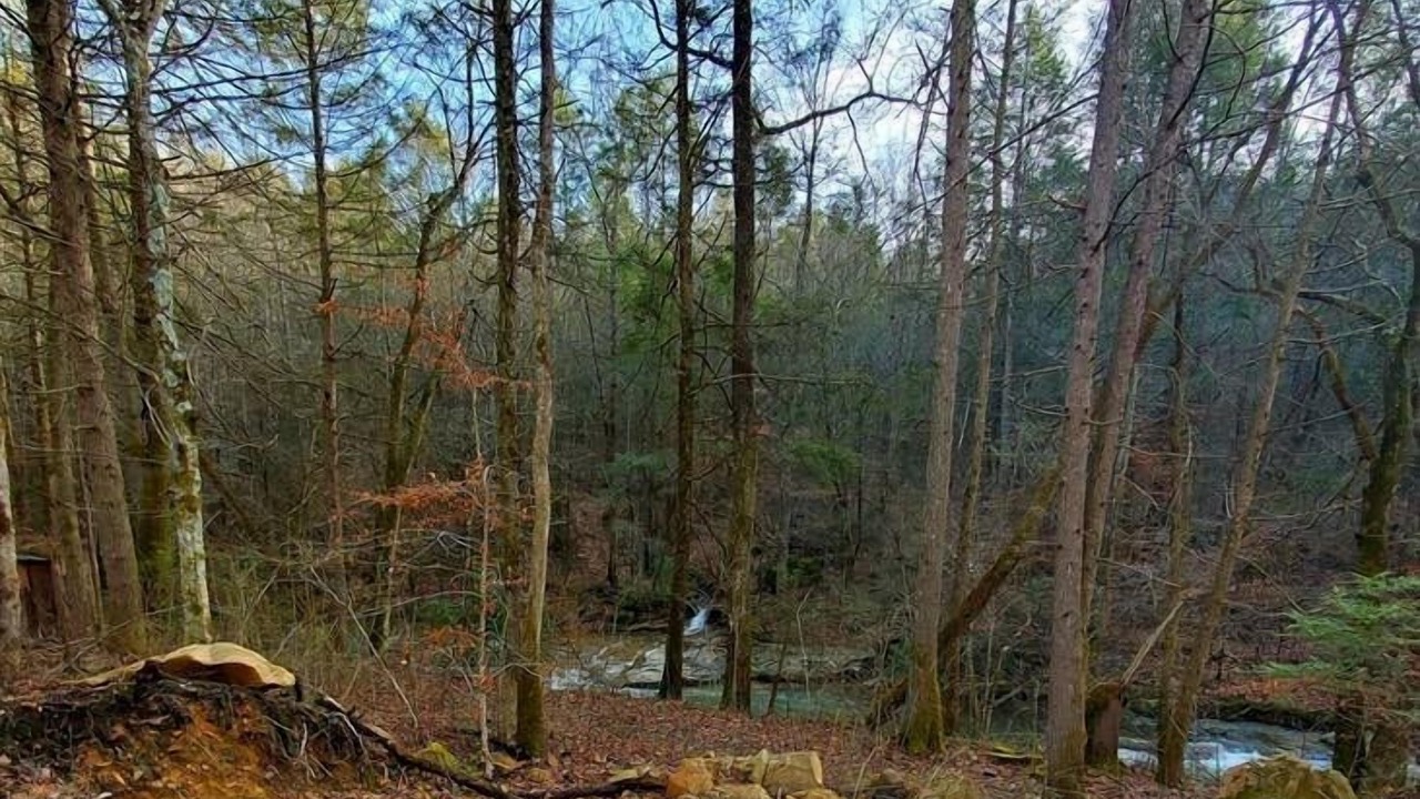 Photo of Others in Elgin