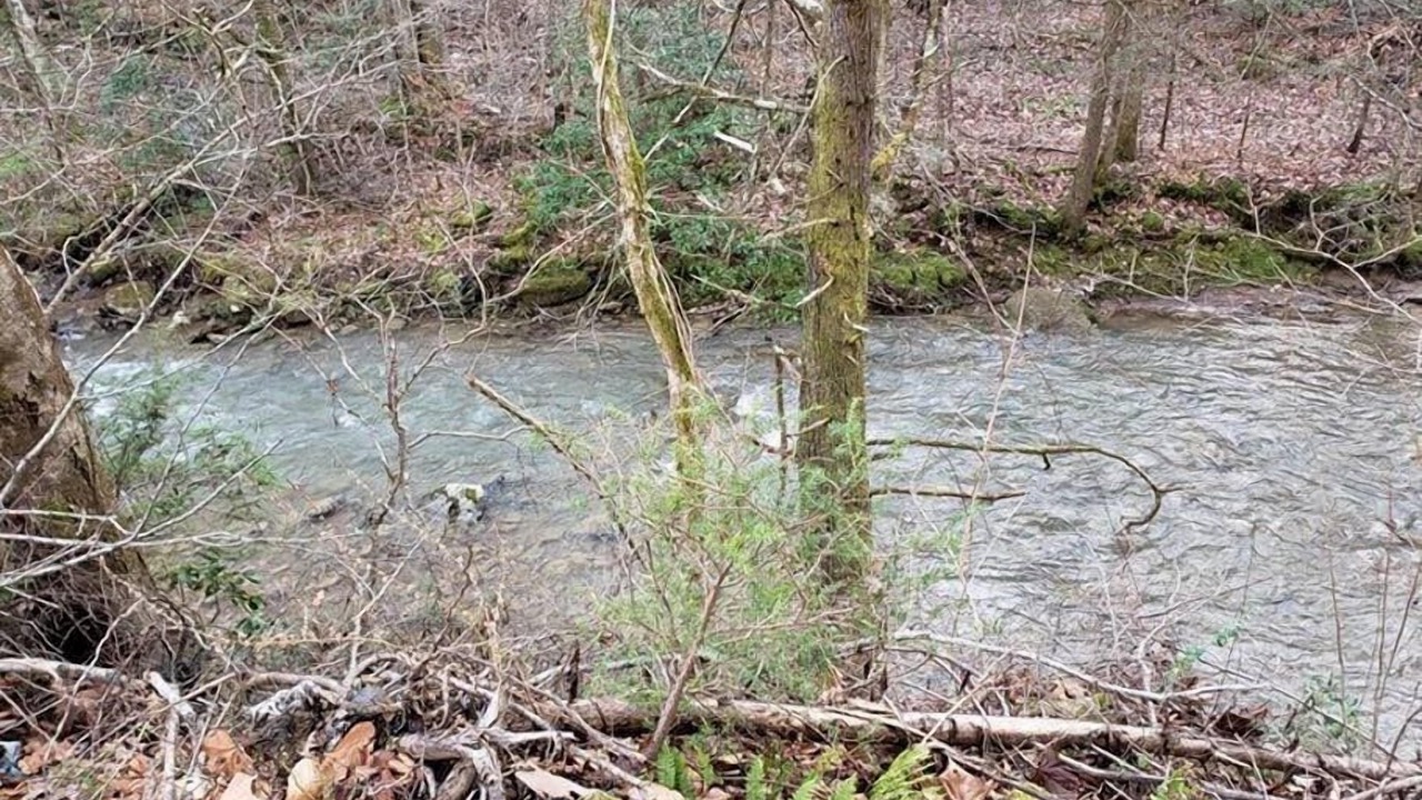 Photo of Others in Elgin