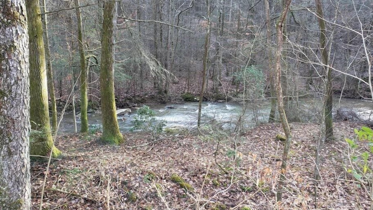 Photo of Others in Elgin