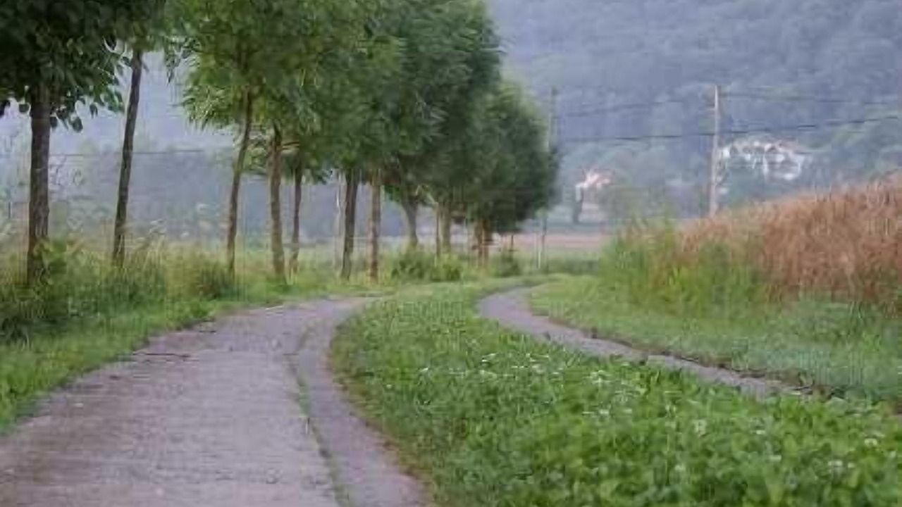 Photo of Outdoor in Santa Margarida de Bianya