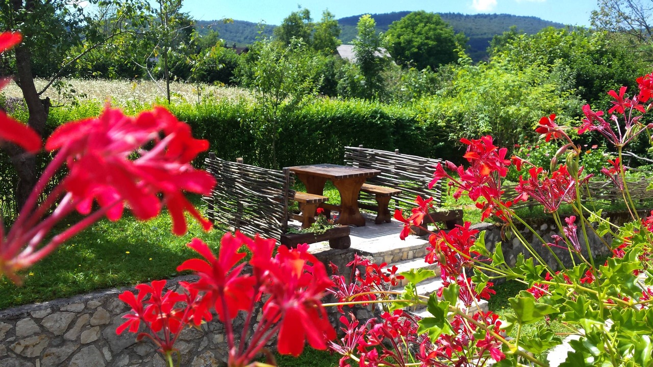 Photo of Outdoor in Plitvica Selo