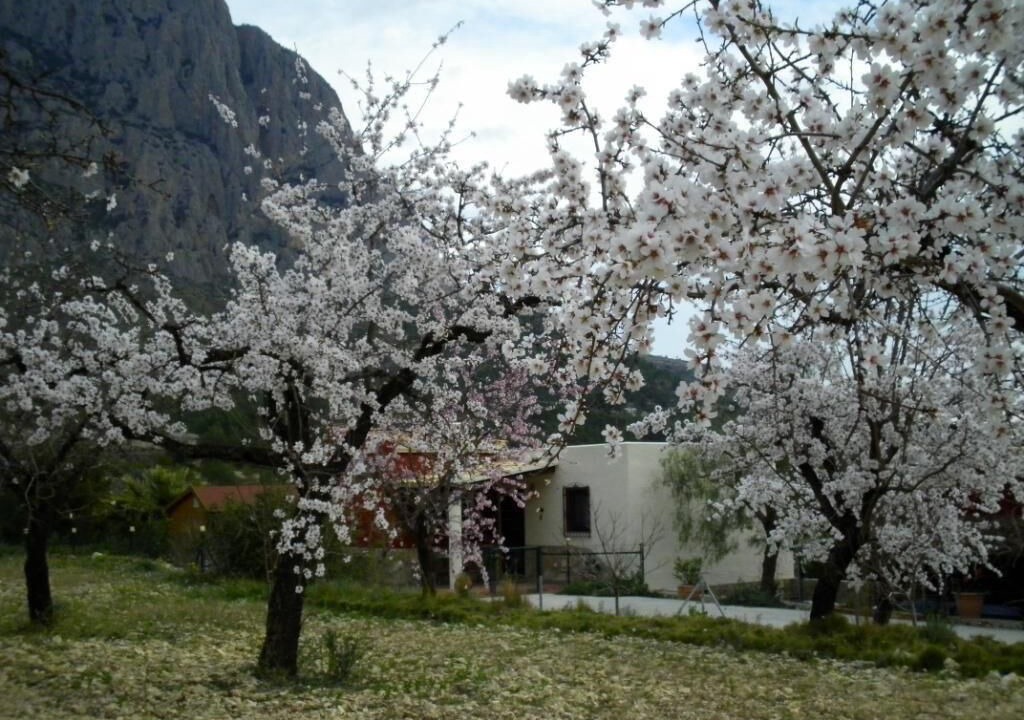 Photo of Others in Finestrat