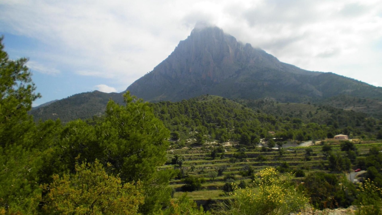 Photo of Others in Finestrat