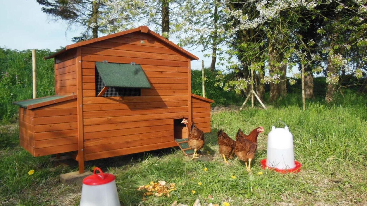 Photo of Outdoor in Saint-Crespin