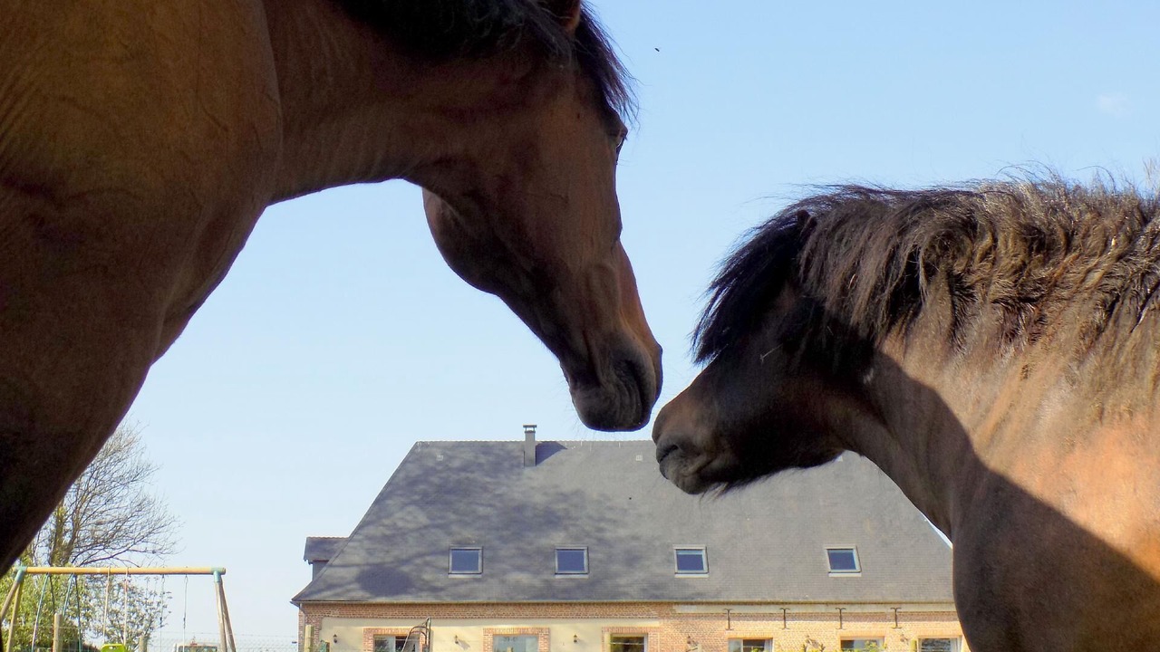 Photo of Others in Saint-Crespin