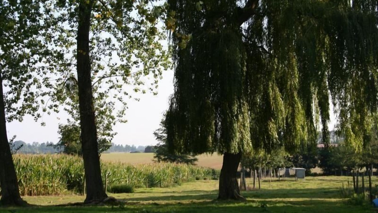 Photo of Others in Saint-Crespin