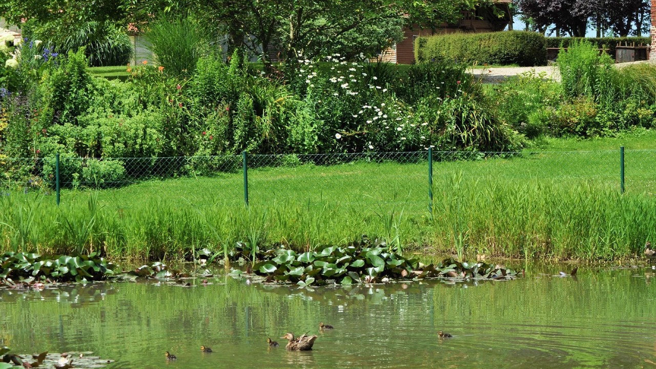 Photo of Outdoor in Saint-Crespin