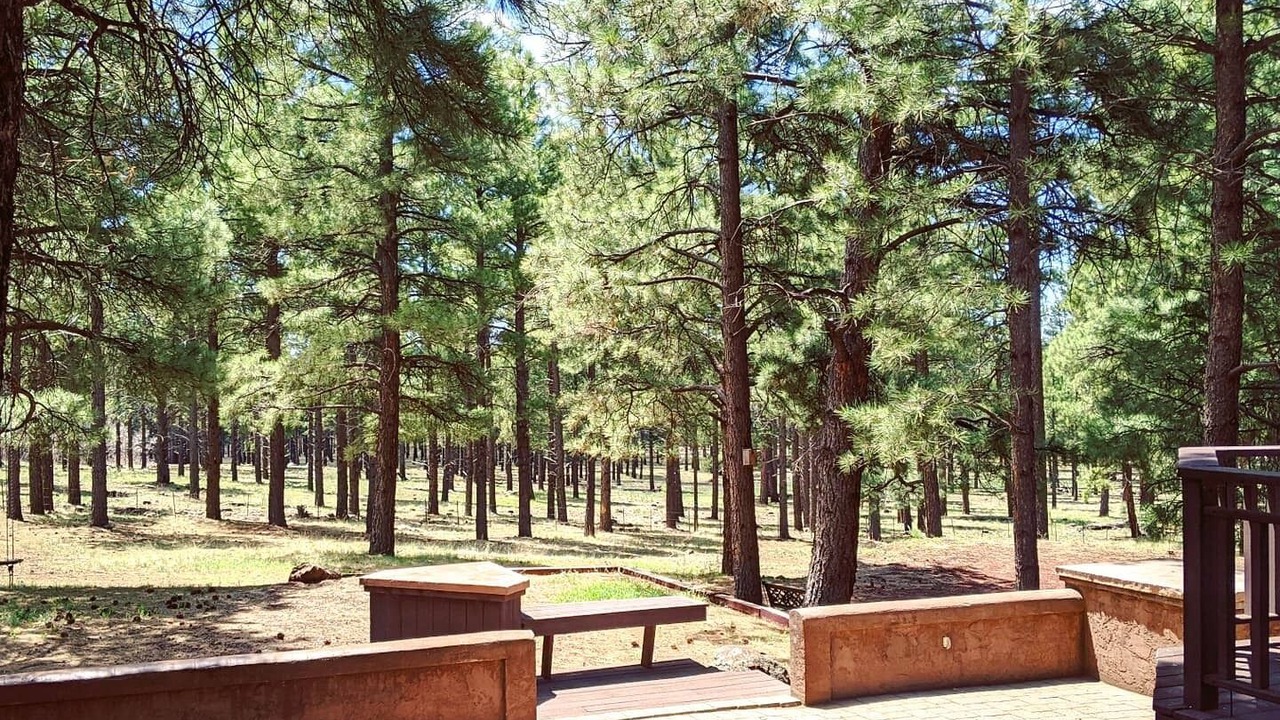Photo of Patio Balcony in Parks