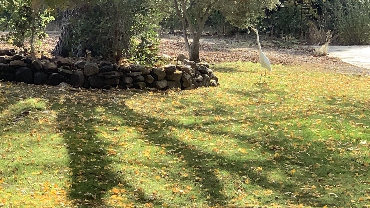 Photo of Others in Glen Ellen