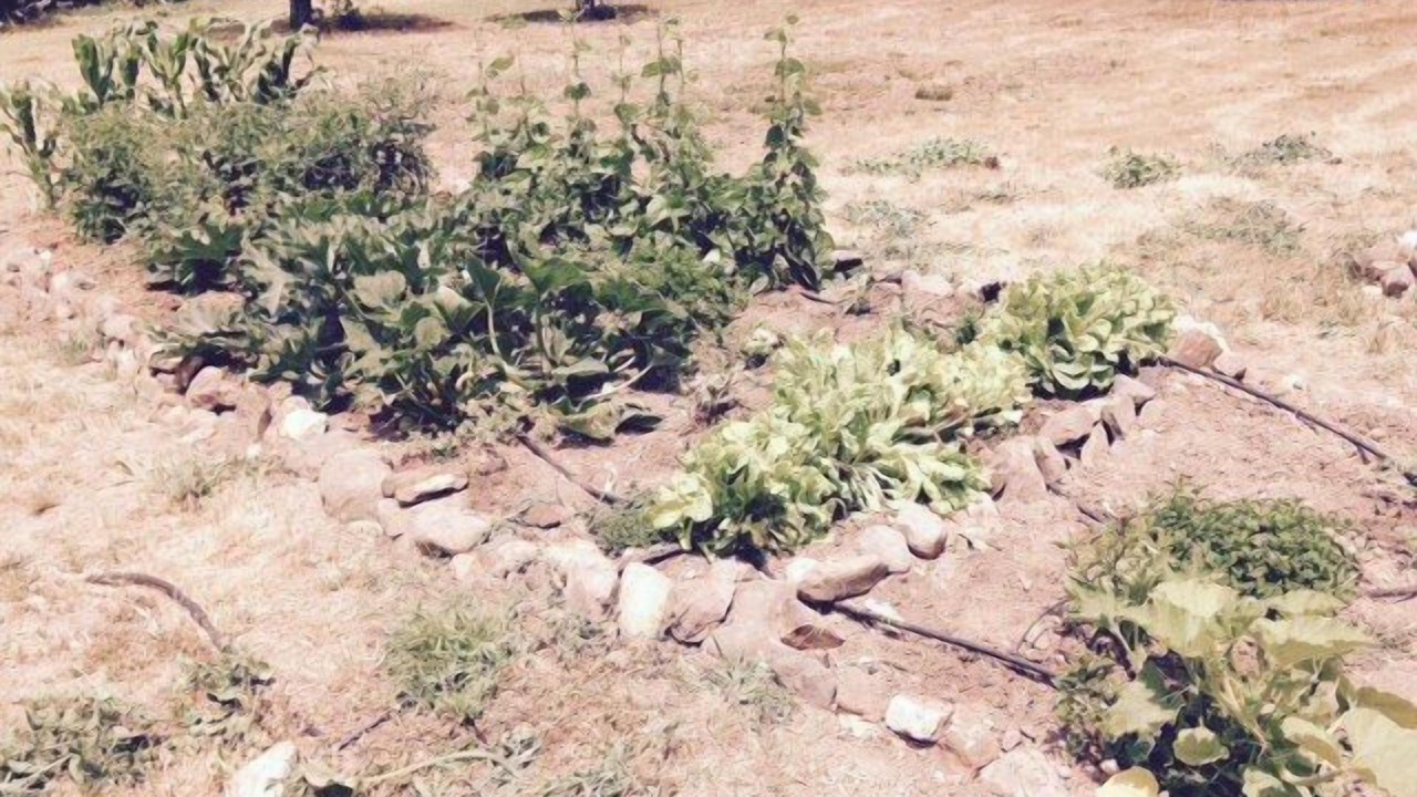 Photo of Outdoor in Glen Ellen