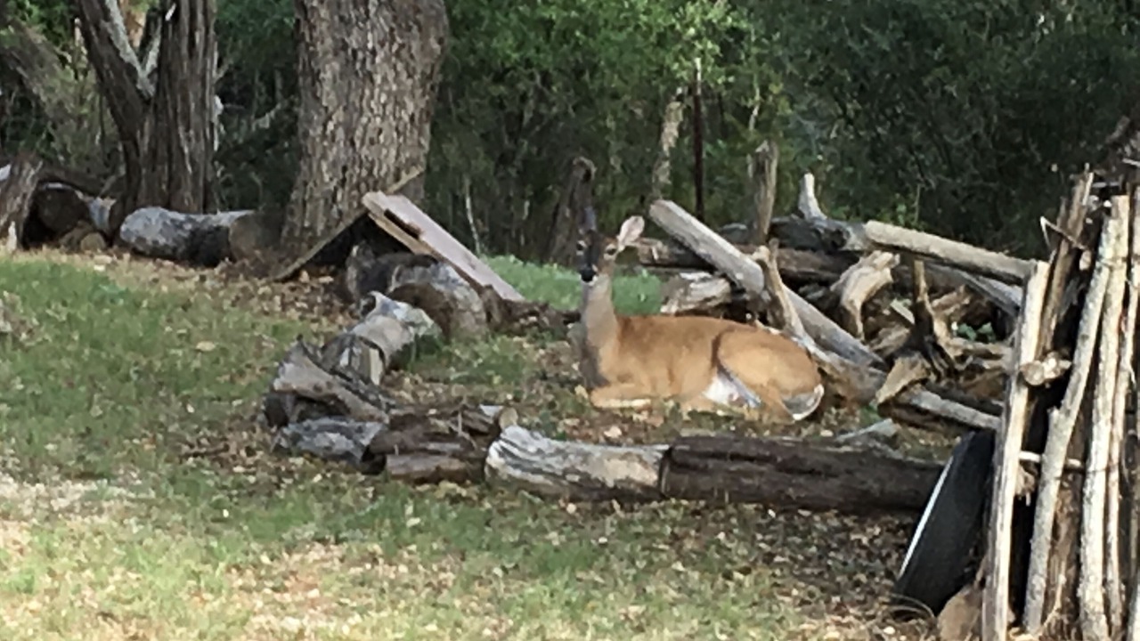 Photo of Outdoor in Pipe Creek
