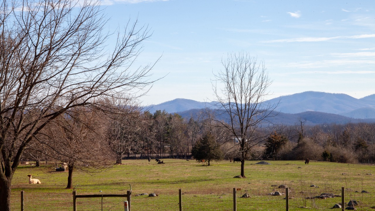 Photo of Outdoor in Batesville