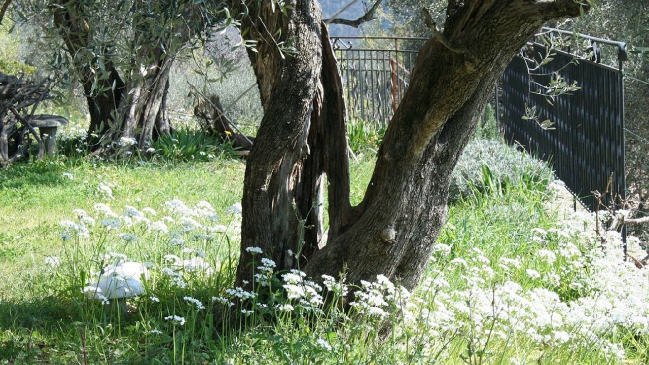 Photo of Outdoor in Le Bar-sur-Loup