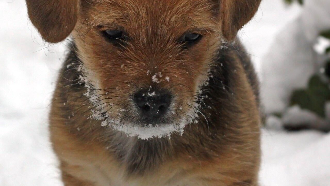 Photo of Livingroom in Lanquais