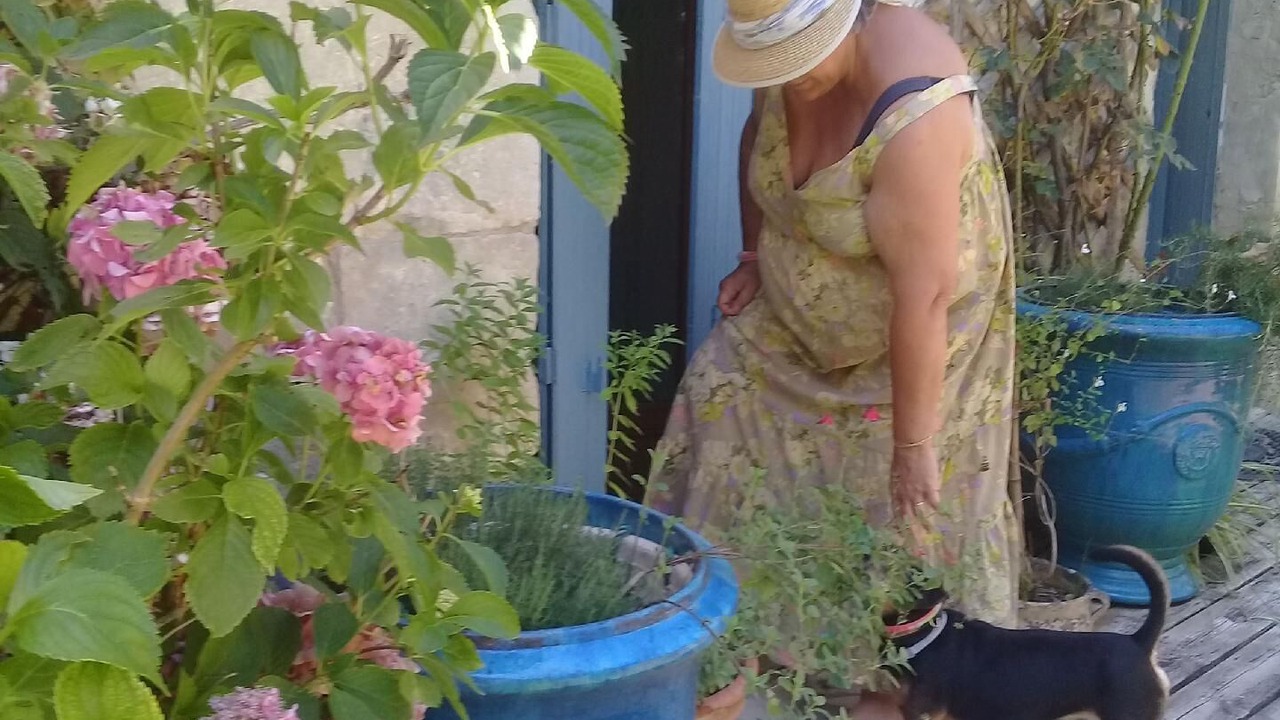 Photo of Outdoor in Lanquais