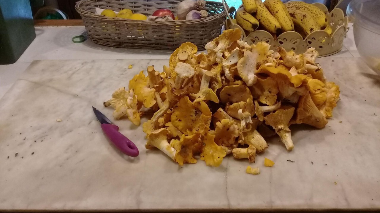 Photo of Others in Lanquais