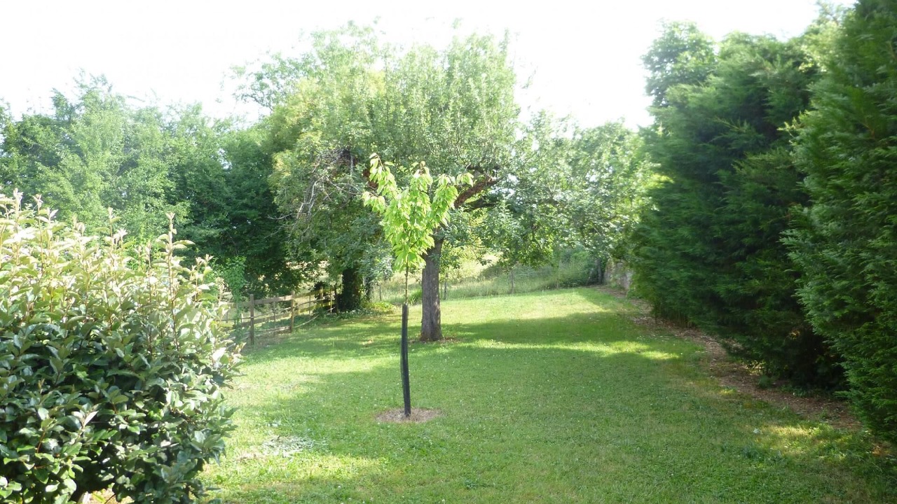 Photo of Outdoor in Lanquais