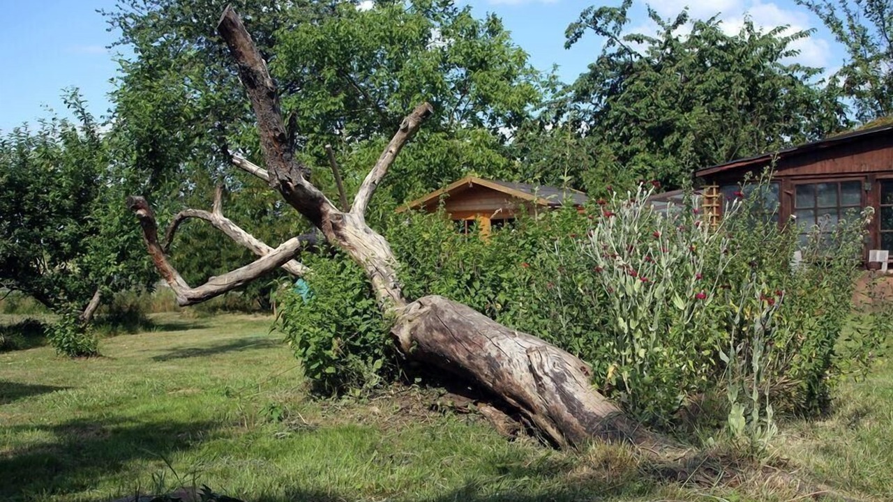 Photo of Outdoor in Betschdorf