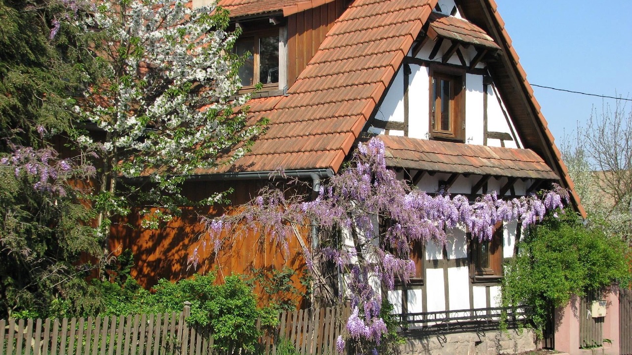 Photo of Outdoor in Betschdorf