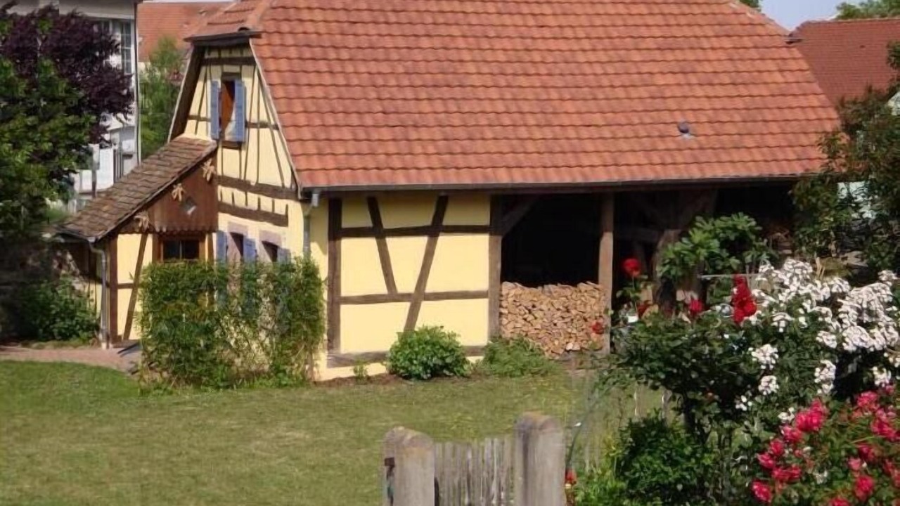 Photo of Outdoor in Horbourg-Wihr