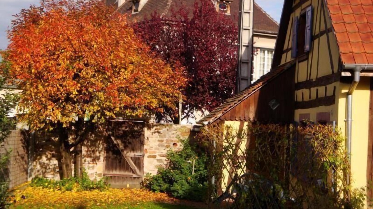 Photo of Outdoor in Horbourg-Wihr