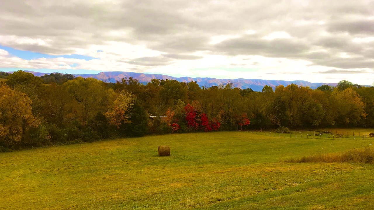 Photo of Others in Greene County