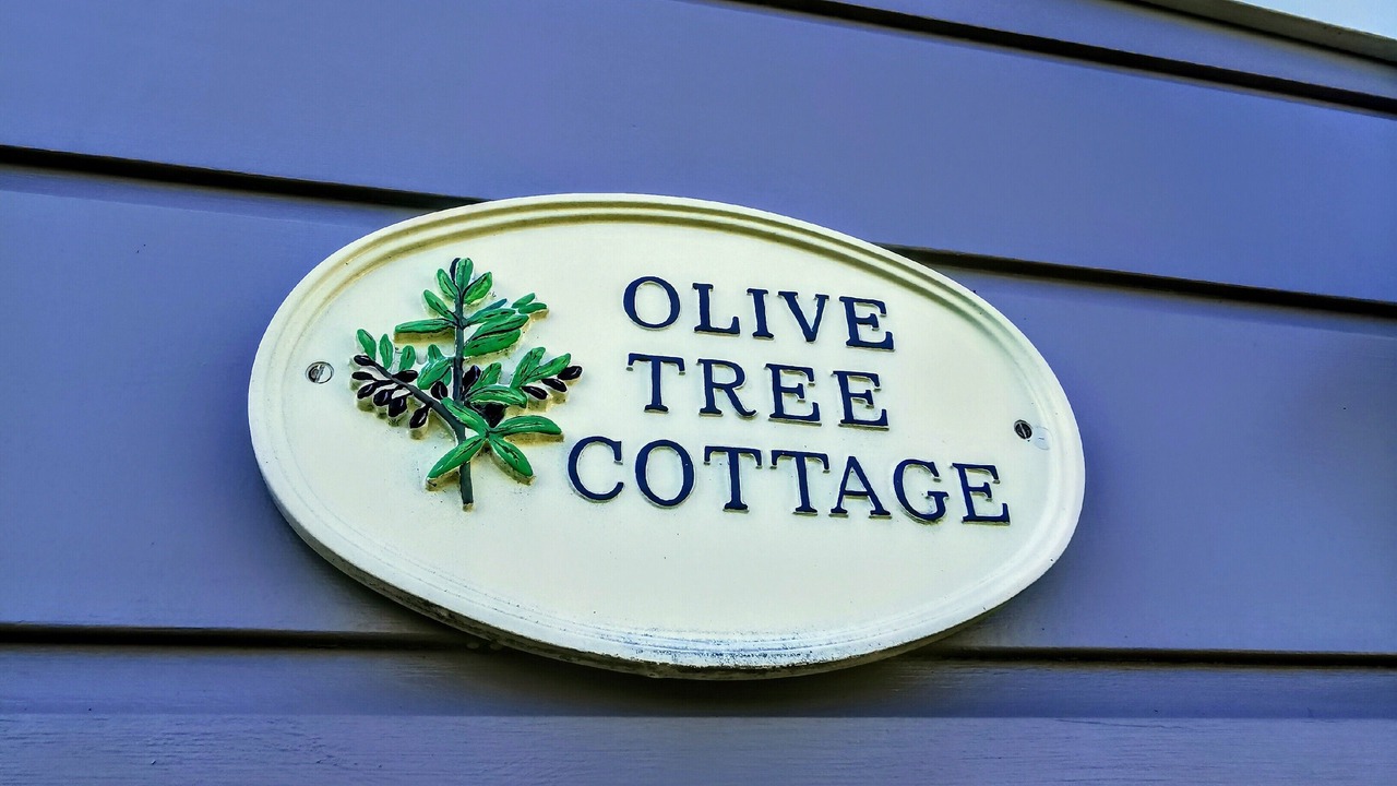 Photo of Outdoor in Martinborough