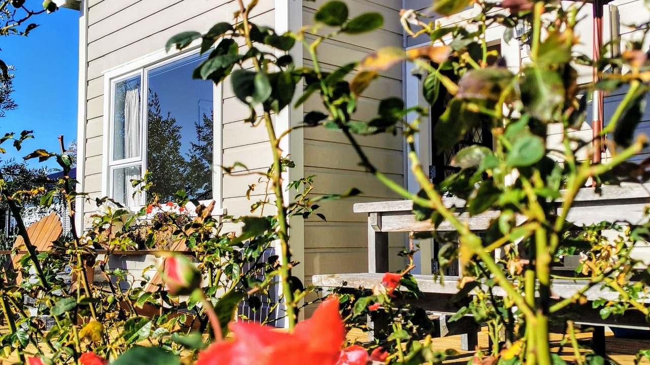 Photo of Outdoor in Martinborough