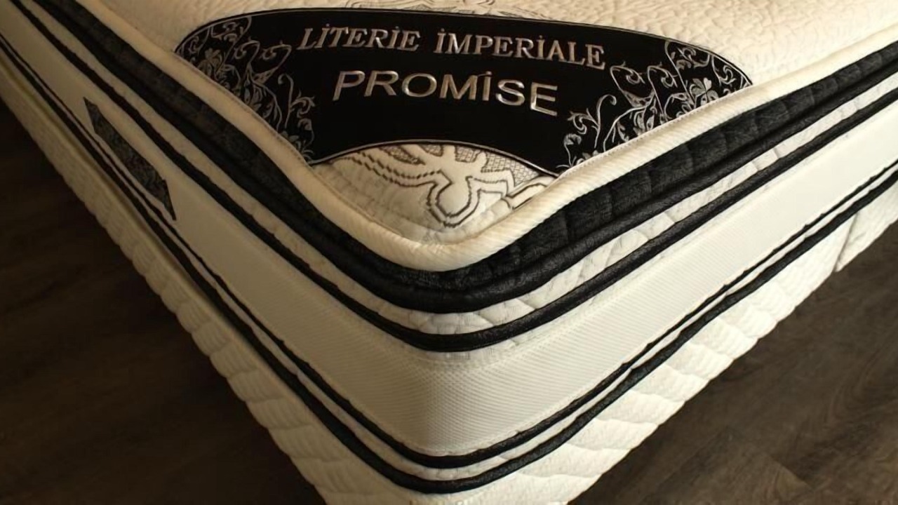 Photo of Others in Saint-Pair-sur-Mer