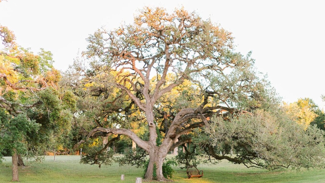 Photo of Outdoor in Round Top