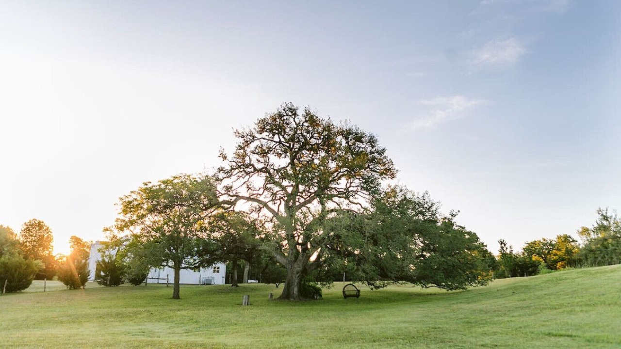 Photo of Others in Round Top