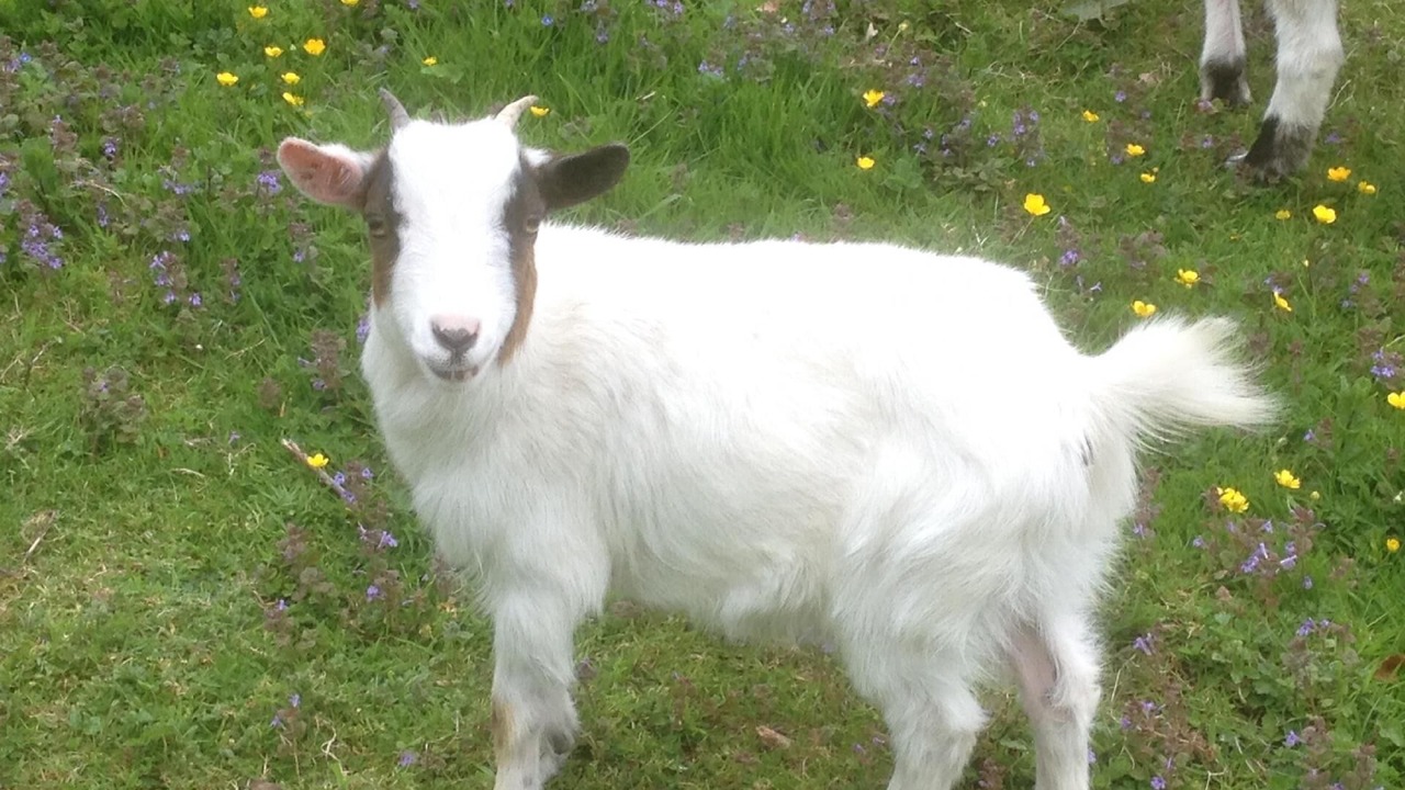 Photo of Others in Valmont