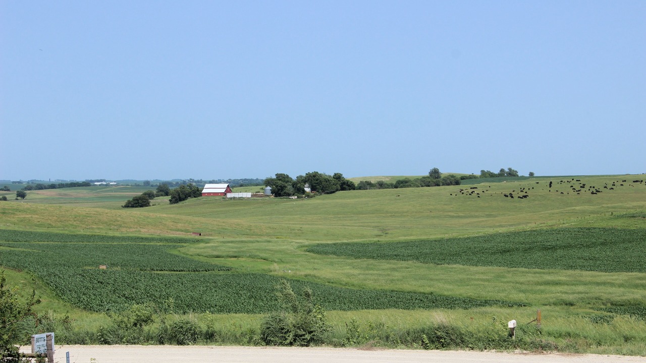 Photo of Others in Coon Rapids