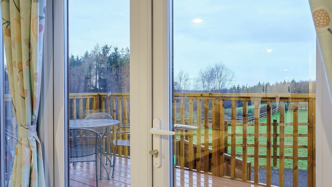 Photo of Others in Alloa