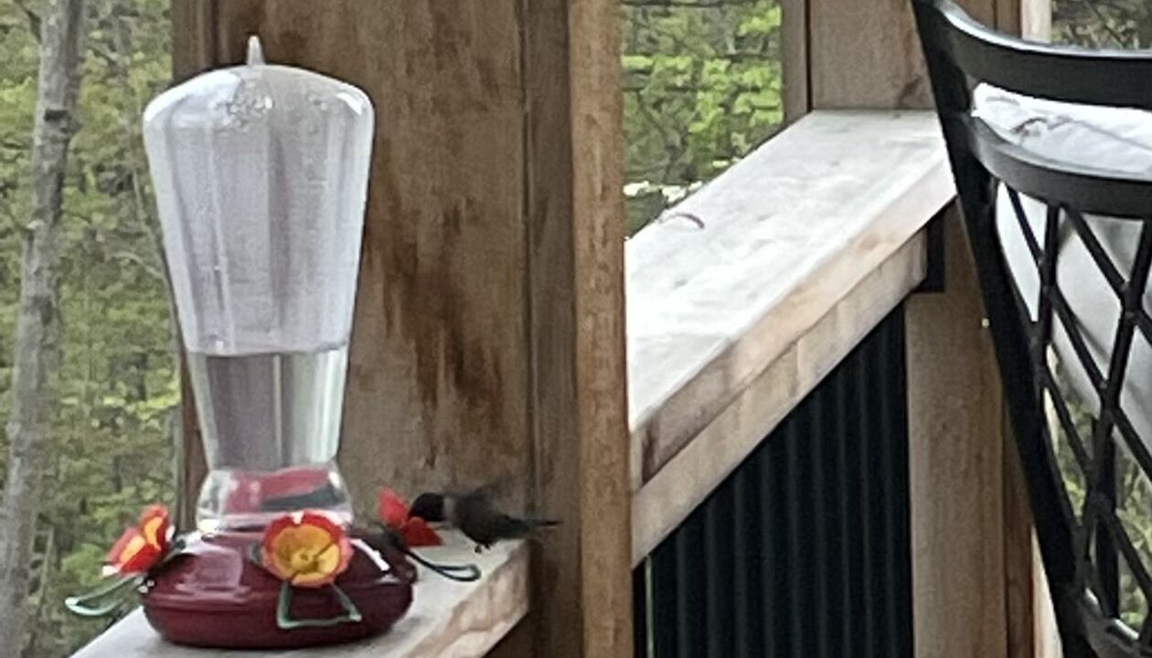 Photo of Outdoor in Fishers Hill