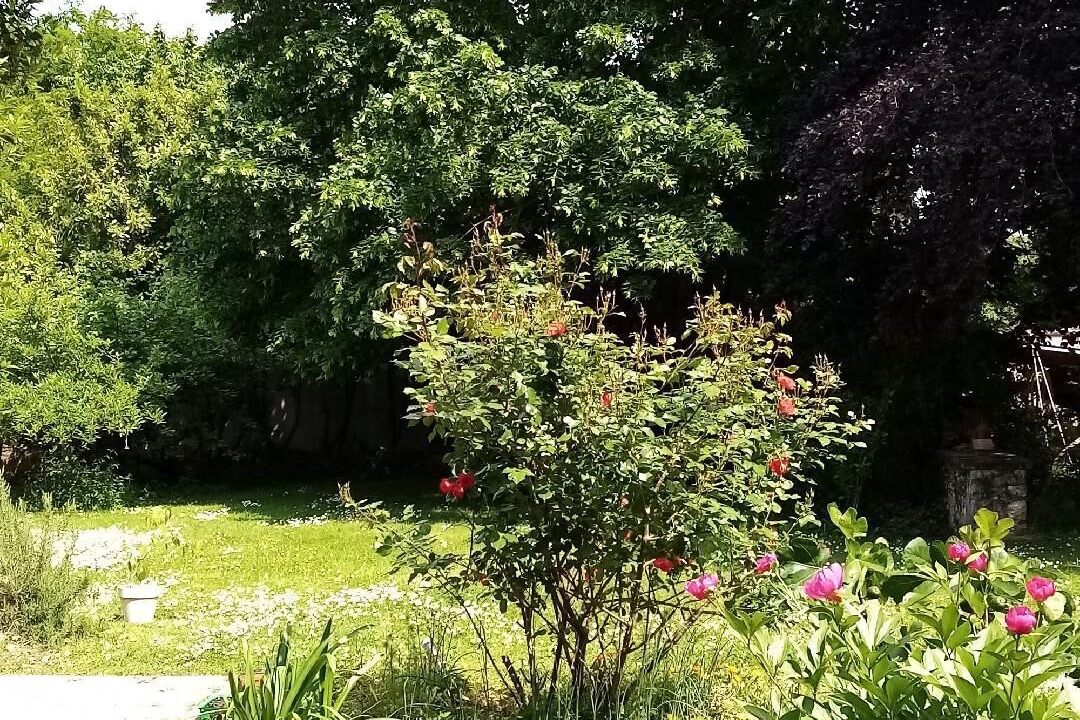Photo of Outdoor in Thomery