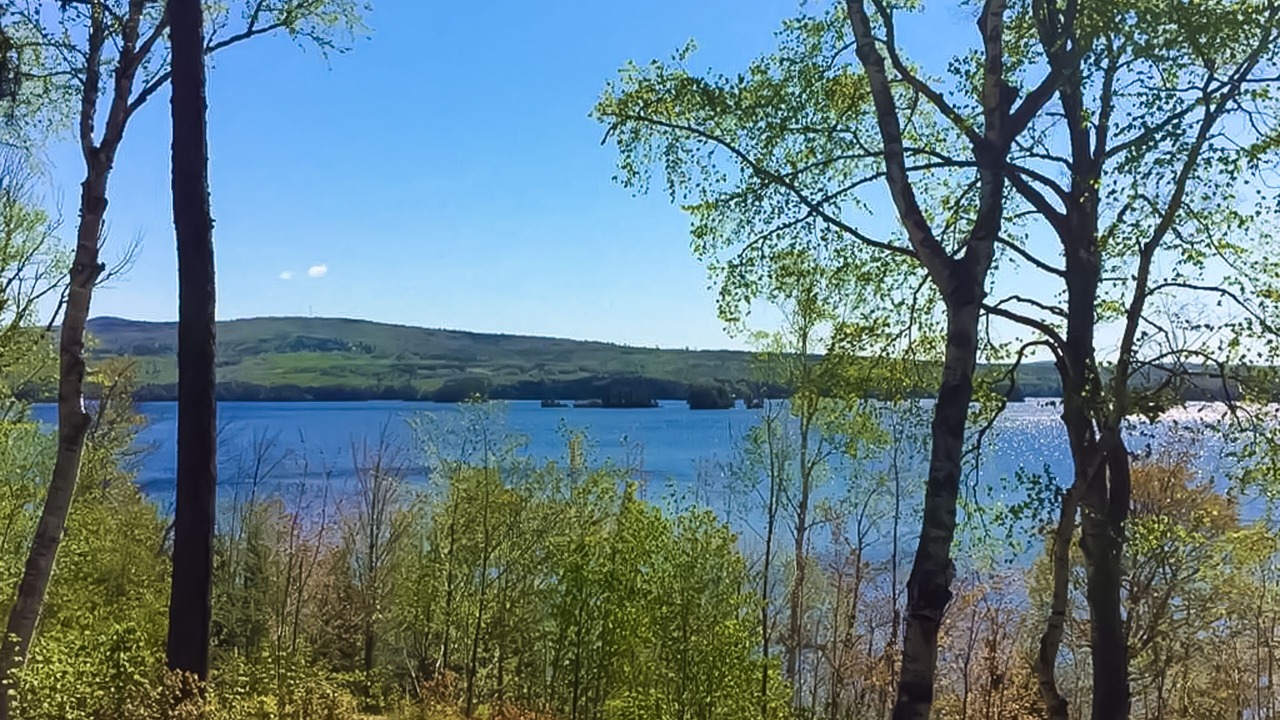 Photo of Others in Greenville Junction