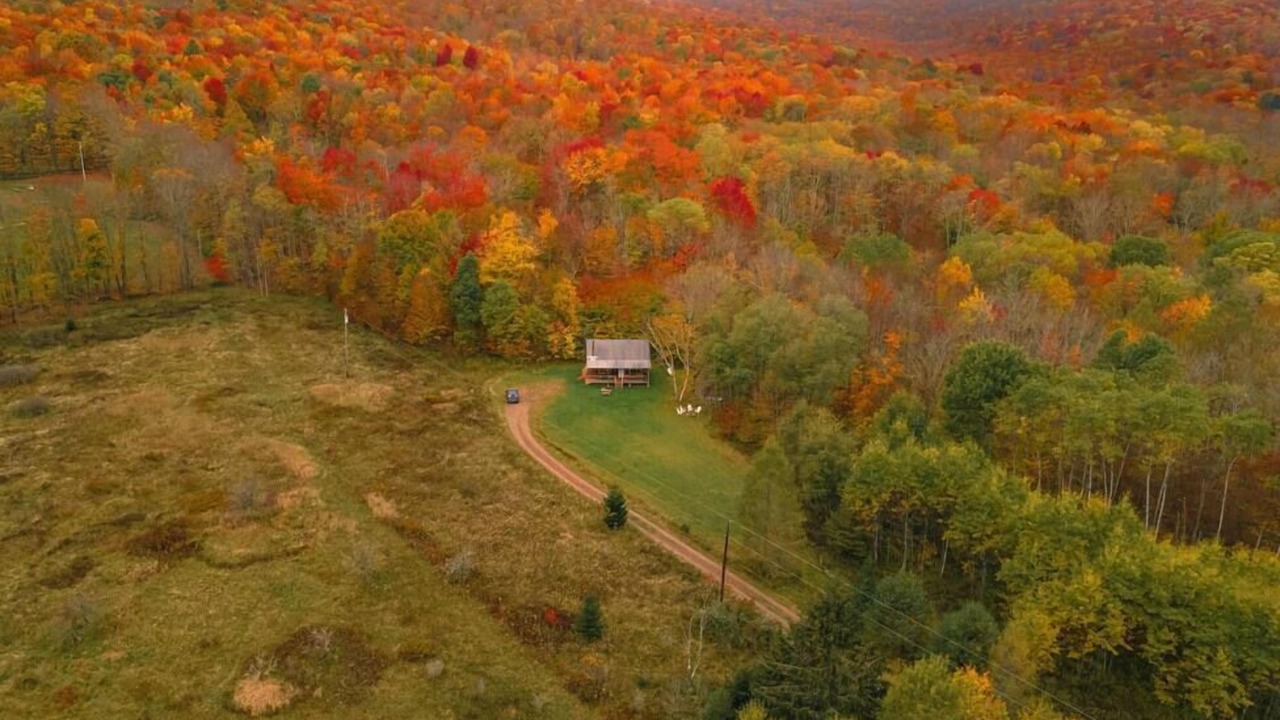 Photo of Others in Margaretville