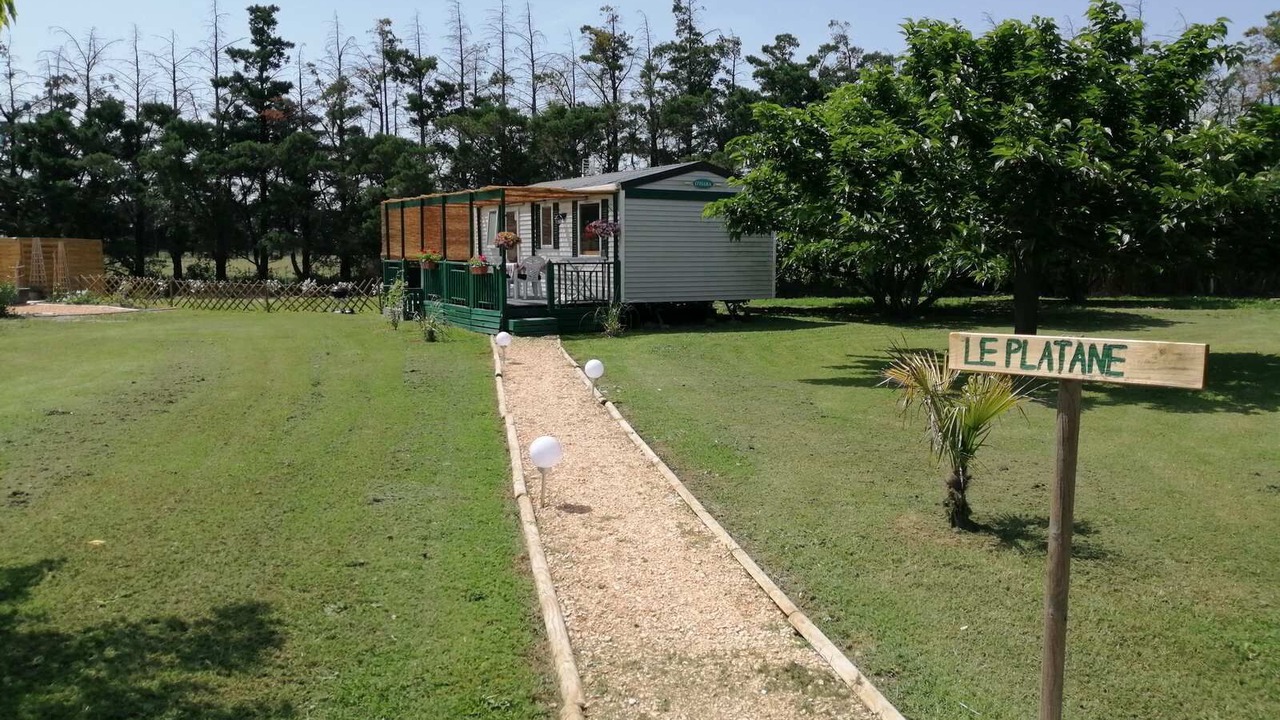 Photo of Outdoor in Tarascon